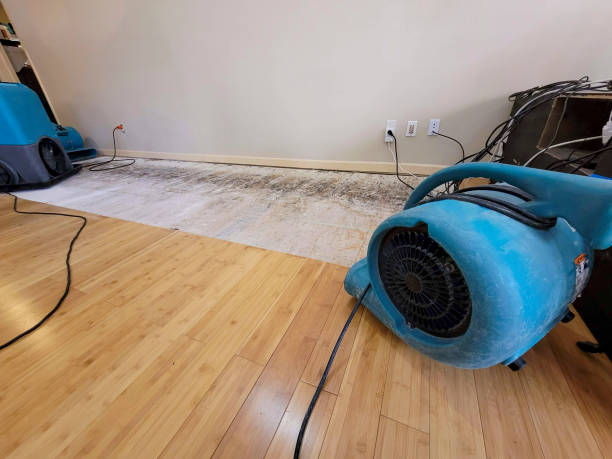 Professional Basement Flood Cleanup technician working in Aynor, SC